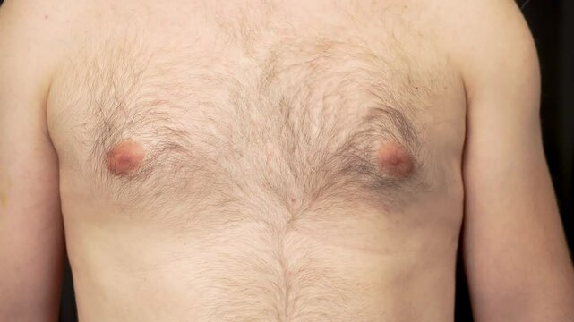 Hairy man with bare torso flexing chest muscles. Male with bare chest tightening pectoral muscles. Guy with hairy chest flexing pectorals