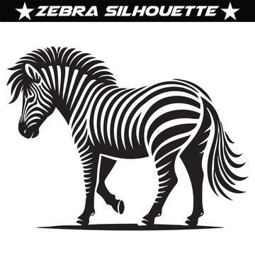 Animal zebra black and white stripes design, eps 10