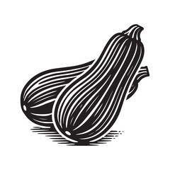 Zucchini Silhouette Vector Illustration, Solid White Background.