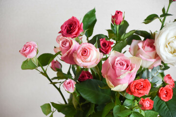 カラフルなばら