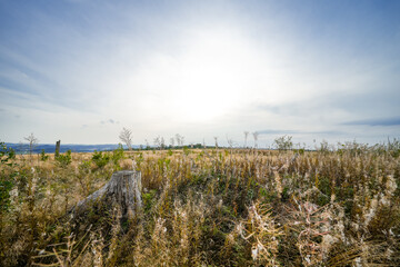Obraz premium Landscape at the Loermecke tower near Meschede. Nature in the Sauerland. 