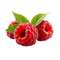 Three Ripe Raspberries with Green Leaves, Transparent Background