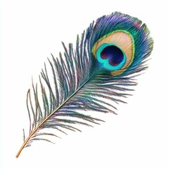 Fototapeta premium Stunning Peacock Feather in Vivid Colors
