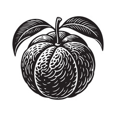 Tangerine Silhouette Vector Illustration, Solid White Background.