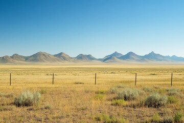 Obraz premium An expansive field of golden grass stretches into the horizon, bordered by distant mountains under a bright blue sky, offering a sense of vastness and solitude.
