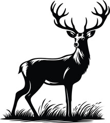 Horned Elk and Reindeer with Antlers in Vector Illustrations realistic and captivating artwork.  Deer vector art style with white background.