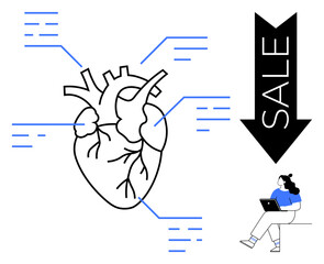 Anatomical heart diagram with labeled parts and blue lines. Black arrow labeled Sale pointing down. Person sitting, using a laptop. Ideal for medical, educational, marketing, healthcare, sales