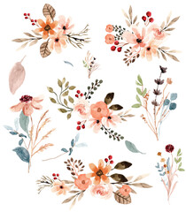 Vector flowers set. Colorful floral collection with leaves and flowers, drawing watercolor