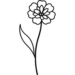 black and white flower