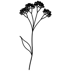 black and white flowers