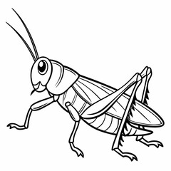 illustration of a grasshopper