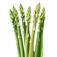 Fototapeta premium asparagus