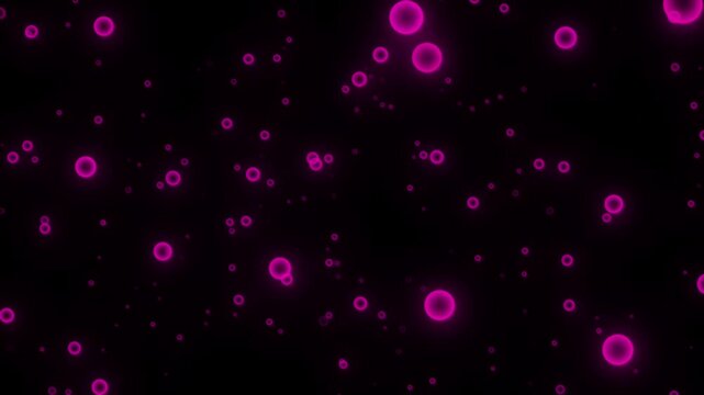 Buuble Particle motion graphic animation