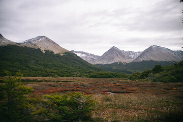 Fototapeta premium Autumn panoramic landscape of Tierra del Fuego peat bog with mountain range and forest, Argentina