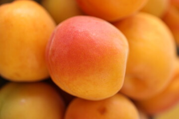 Fresh and Juicy Apricots: Nature's Sweetness
