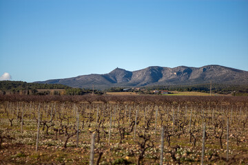 Fototapeta premium autumn in the mountains