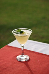 Mint Lemon Martini
