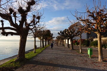 A picturesque Swiss town by Lake Zurich
