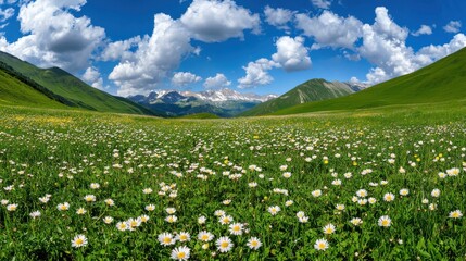 Fototapeta premium Lush Green Meadow with Daisies and Majestic Mountains under Cloudy Blue Sky