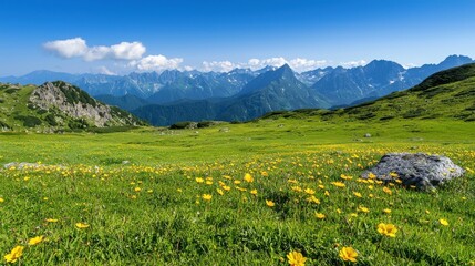 Fototapeta premium Majestic Alpine Meadow with Blooming Flowers and Snow Capped Mountains in Scenic Landscape