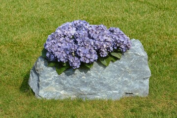 A hydrangea floral arrangement placed on a stone memorial, symbolizing love and remembrance