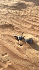 Desert coffee pot lies on sand, reflecting traditions of shared hospitality. This pot, central to desert life, highlights shared values through coffee rituals. Warmth of cultural unity. Arabic Dallah.