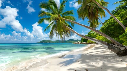 Tropical beach scene with palm trees and clear blue waters under a sunny sky.