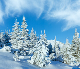Morning winter mountain landscape