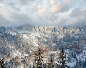 Winter Ukrainian Carpathian Mountains landscape.
