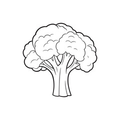 Minimalist Line Drawing of Broccoli Icon 