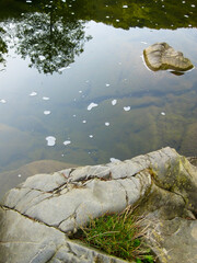 Part of a rock and the shallow water of Vidima River at the pool called Priboy, near the village of Debnevo, Troyan Minucipality, Northern Bulgaria
