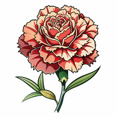 carnation flower illustration cartoon clipart design nature