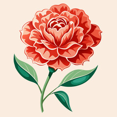 carnation flower illustration cartoon clipart design nature