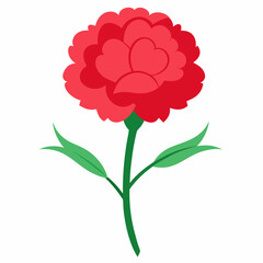carnation flower illustration cartoon clipart design nature