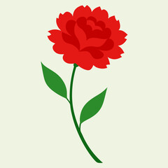 carnation flower illustration cartoon clipart design nature