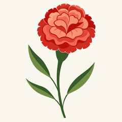 carnation flower illustration cartoon clipart design nature