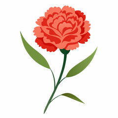 carnation flower illustration cartoon clipart design nature
