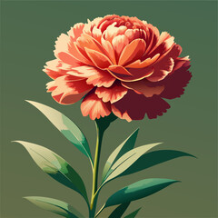 carnation flower illustration cartoon clipart design nature