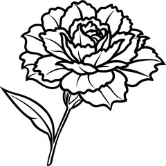 carnation flower illustration cartoon clipart design nature