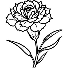 carnation flower illustration cartoon clipart design nature