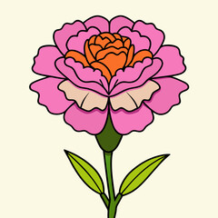 carnation flower illustration cartoon clipart design nature