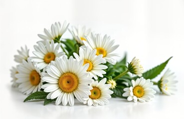 Fototapeta premium Beautiful bouquet of white daisies, chamomile flowers. Fresh blooms displayed against plain white background. Close-up view fine details of petals, centers. Perfect for floral design inspiration,