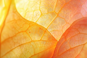 Obraz premium Macro shot capturing the golden hues of a leaf with detailed veining, showcasing autumn's touch and the intricate natural patterns that make each leaf unique.