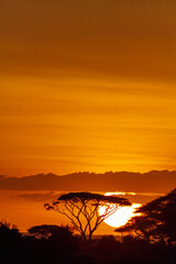 African sunrise. Amboseli, Kenya	