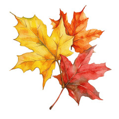 Obraz premium Fall colors leaves watercolor illustration with rich reds and golds, celebrating seasonal transitions. PNG transparent background.