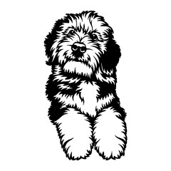 Bernedoodle Dog Breed - Pet Vector Cut file, Dog Silhouette Stencil - Cricut file