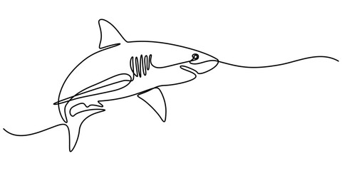 Obraz premium Shark Continuous Line Drawing, One line drawing of a shark. Graphic vector illustration of shark continuous line drawing, Continuous one line drawing of shark fish. Simple illustration of saltwater 