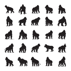 gorilla silhouette photo set