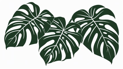 Elegant Monstera Green Leaf Silhouette Vector Drawing for Designs