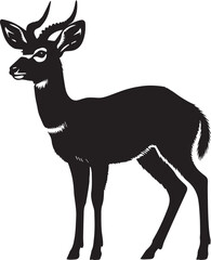 Silhouette of a deer